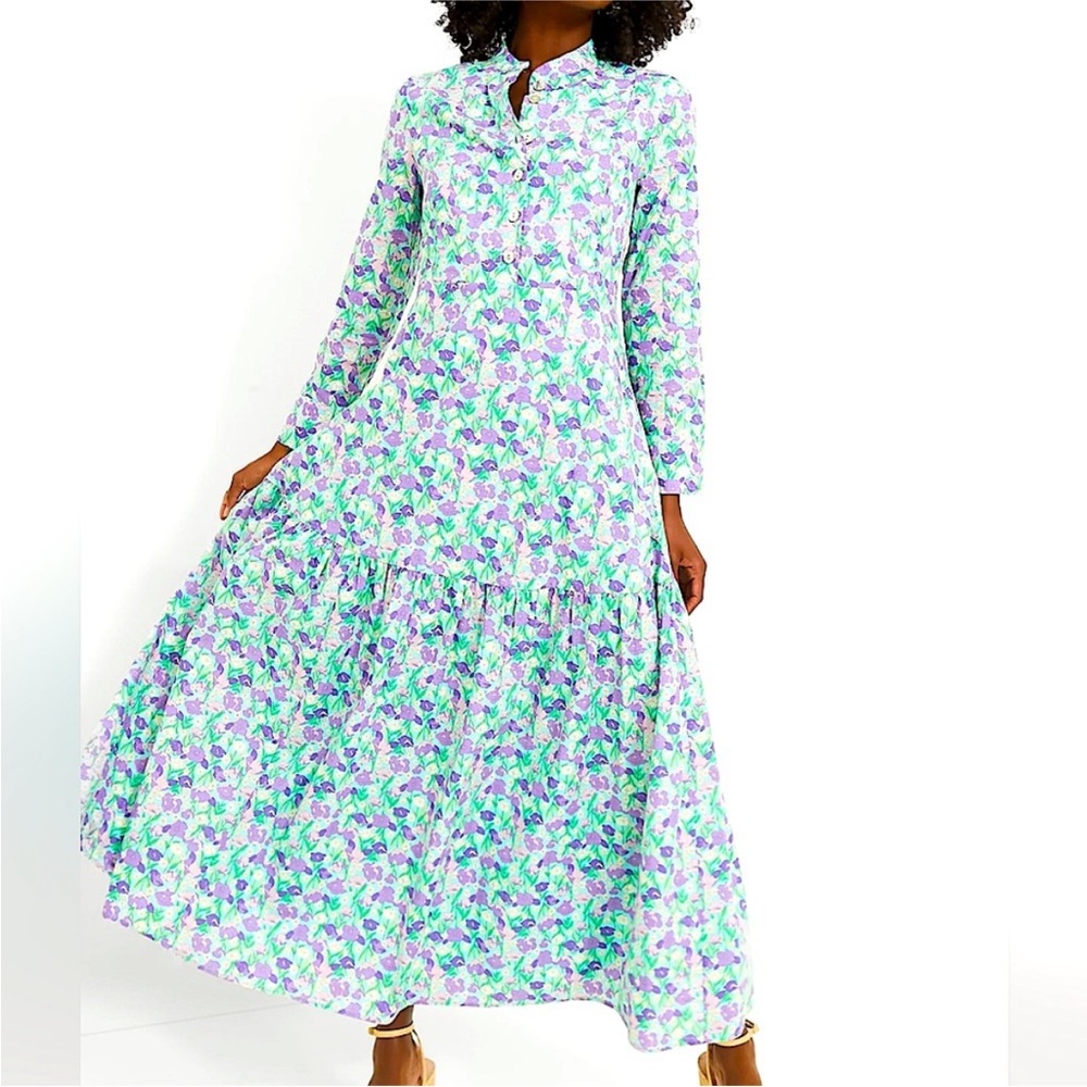 Tuckernuck Hyacinth House Blue Multi Floral Bellflower Maxi Dress Medium M